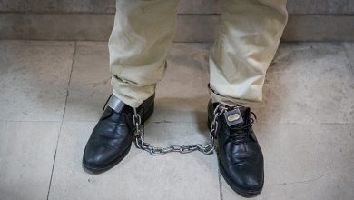 دستگیری سارق حرفه‌ای توسط پلیس گناوه در شیراز