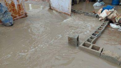 آبگرفتگی منازل در روستاهای شهرستان گناوه