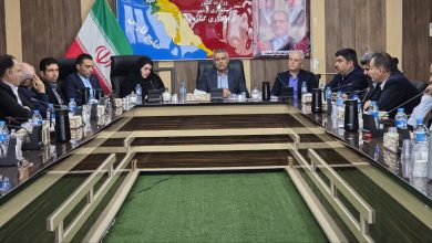 فرماندار گناوه: ۷۵ پروژه عمرانی و اقتصادی در دهه فجر آماده افتتاح و اجرا است