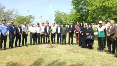 پیام طبیعت شهرستان گناوه