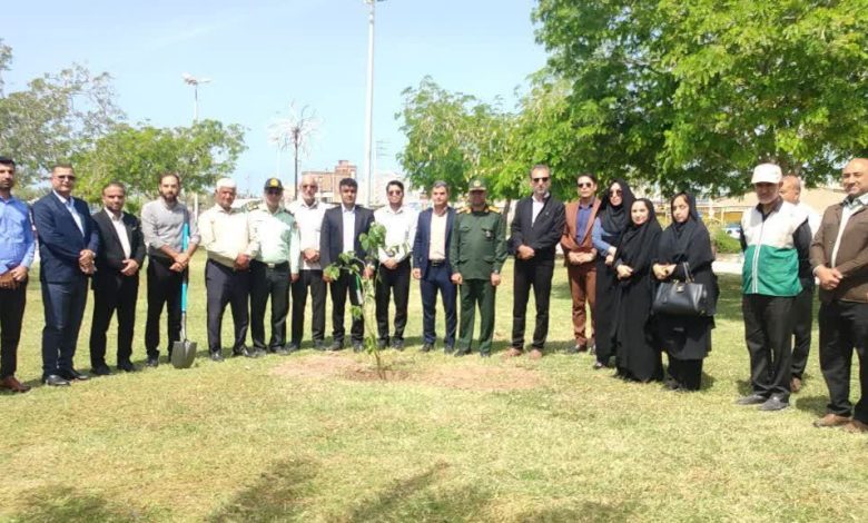 پیام طبیعت شهرستان گناوه