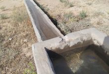 روستای کمالی