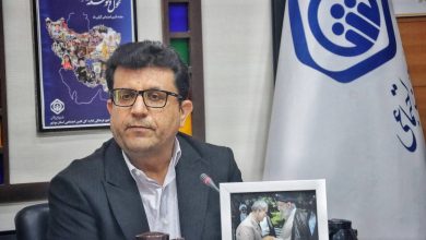 مرتضی پروانه-مدیرکل تعاون، کار و رفاه اجتماعی استان بوشهر